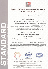 迅藍科技英文ISO證書